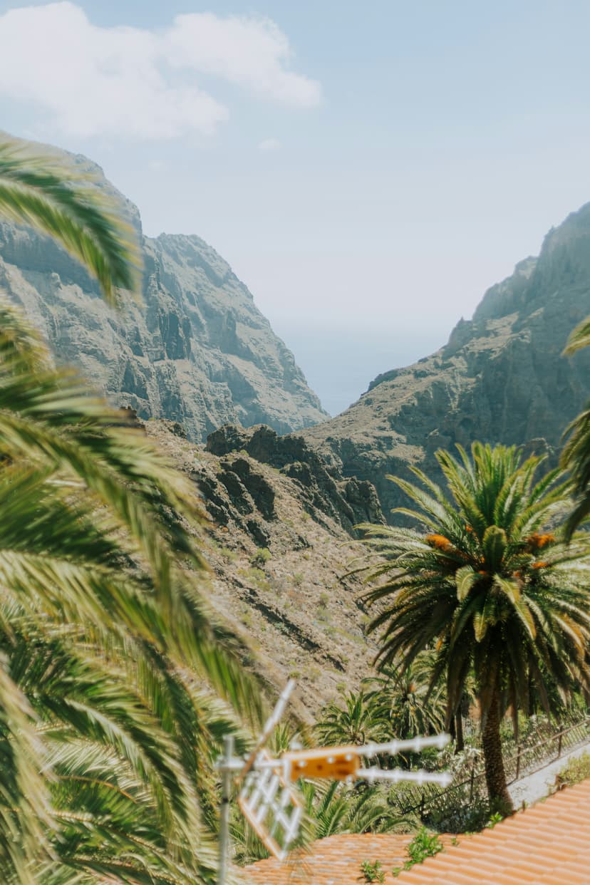 Picture of a mountain